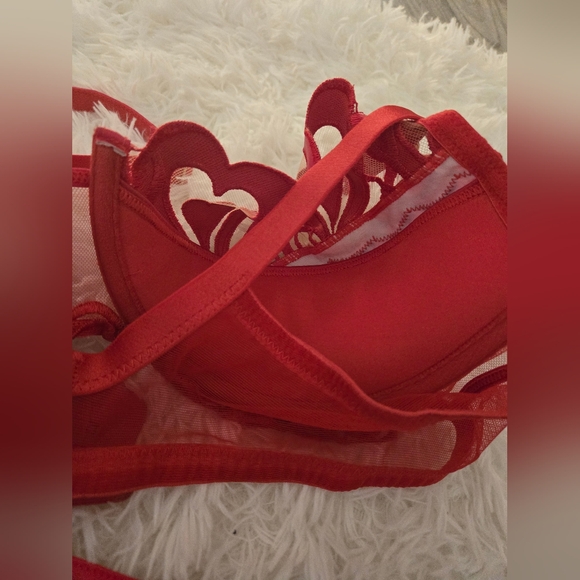 Honey Birdette Red Heart Set 38D - Picture 7 of 11